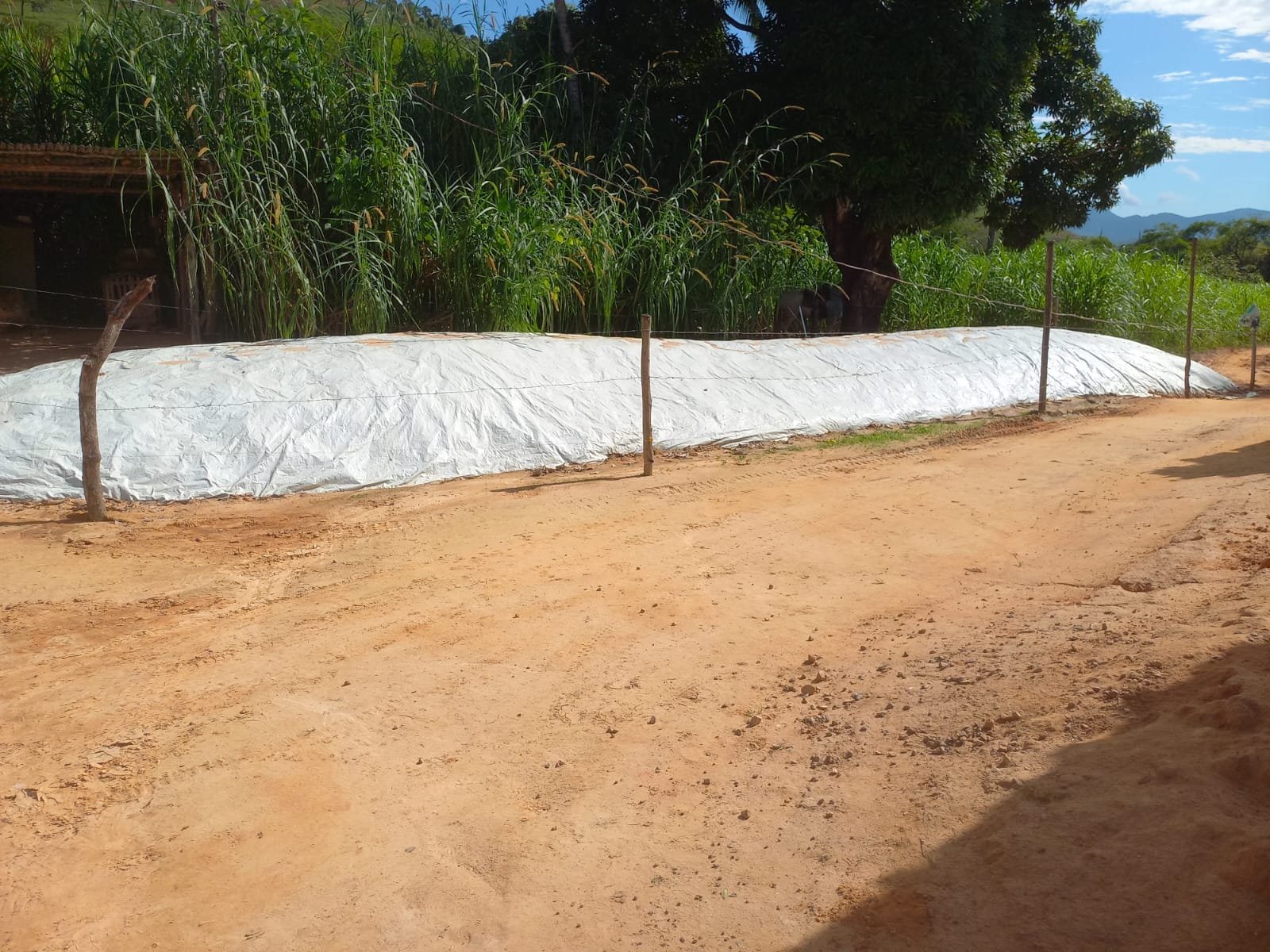 FAZENDA - FOTO 10