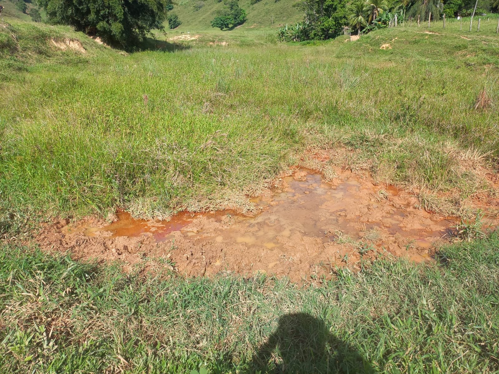 FAZENDA - FOTO 13