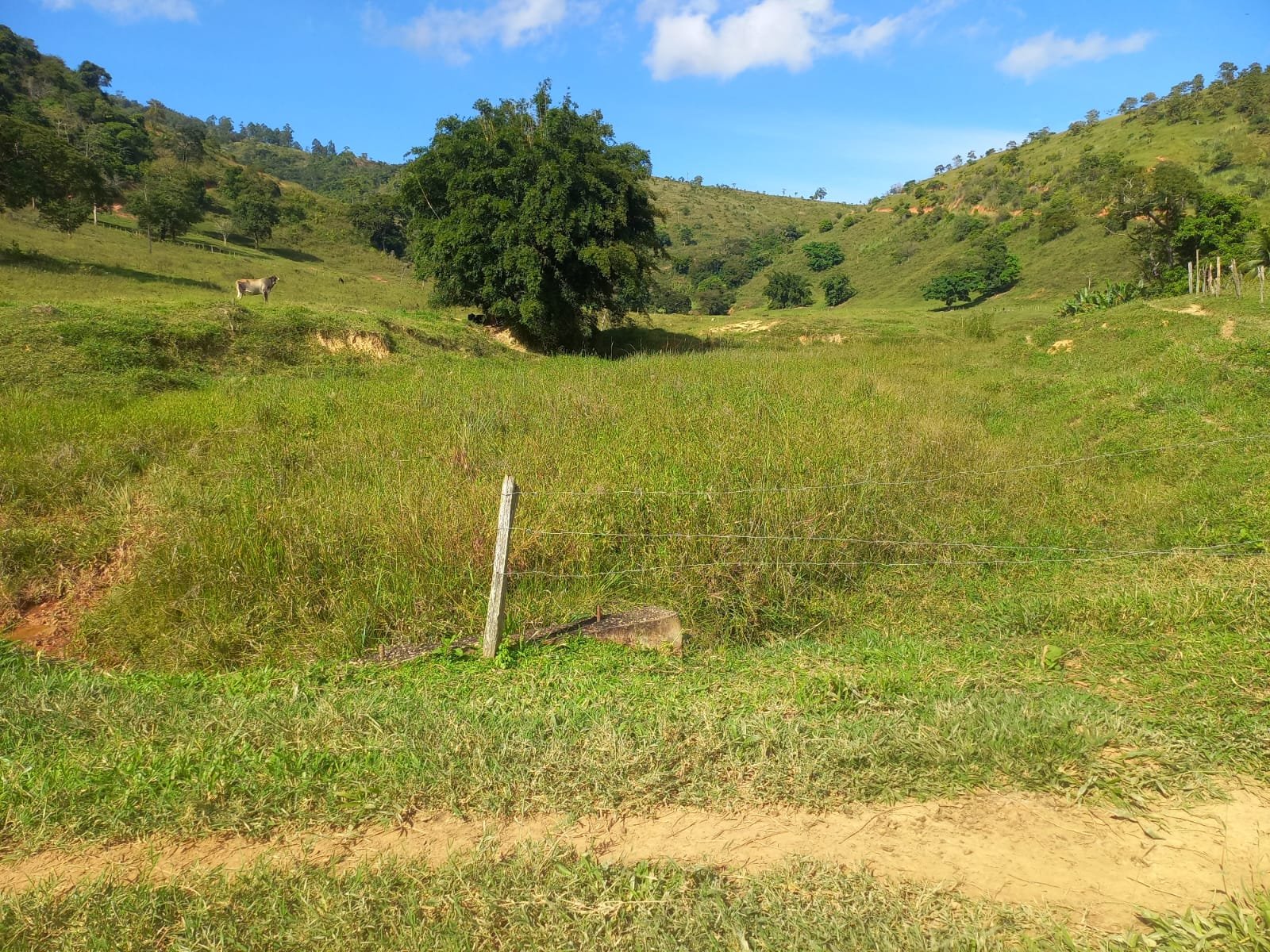 FAZENDA - FOTO 15