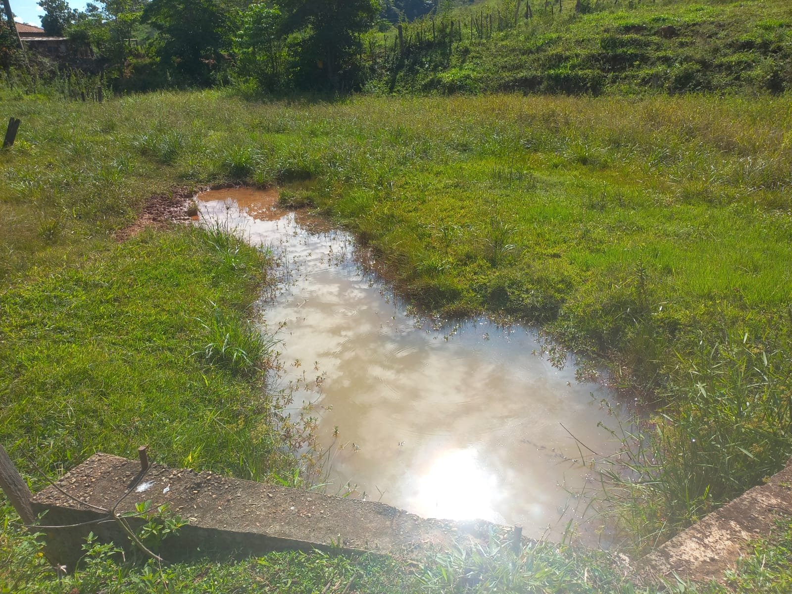 FAZENDA - FOTO 17