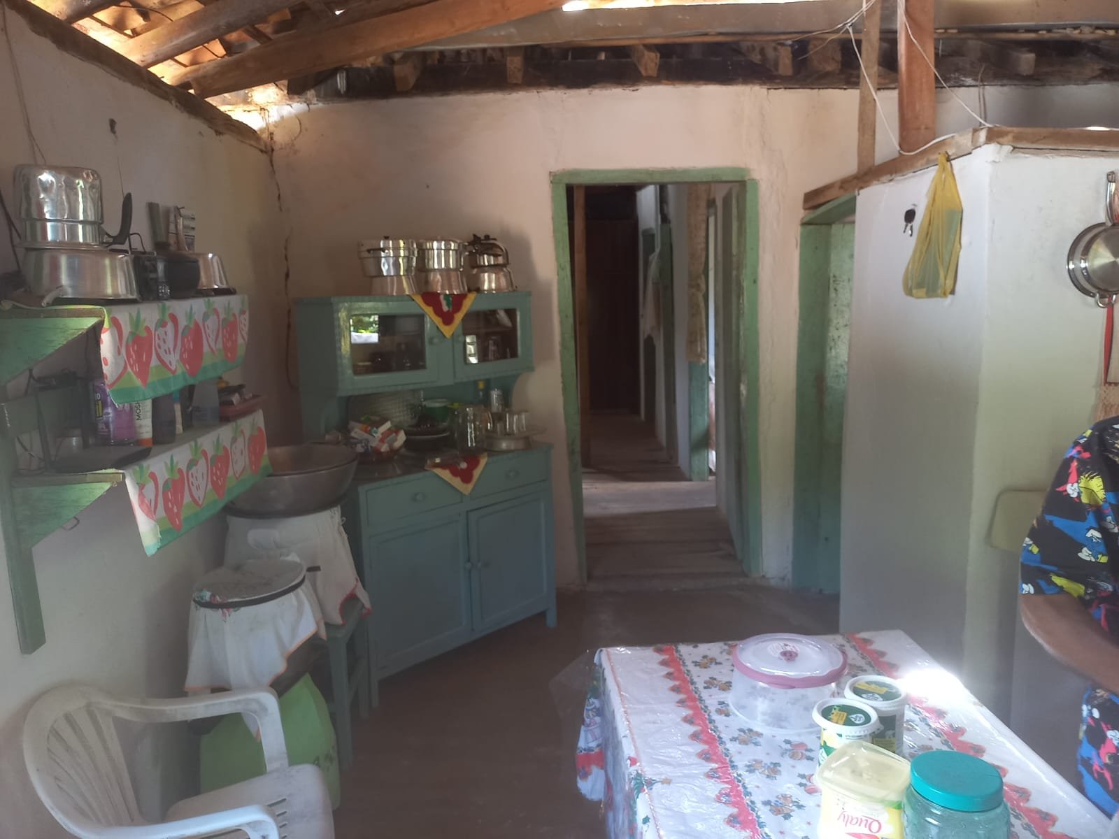FAZENDA - FOTO 18