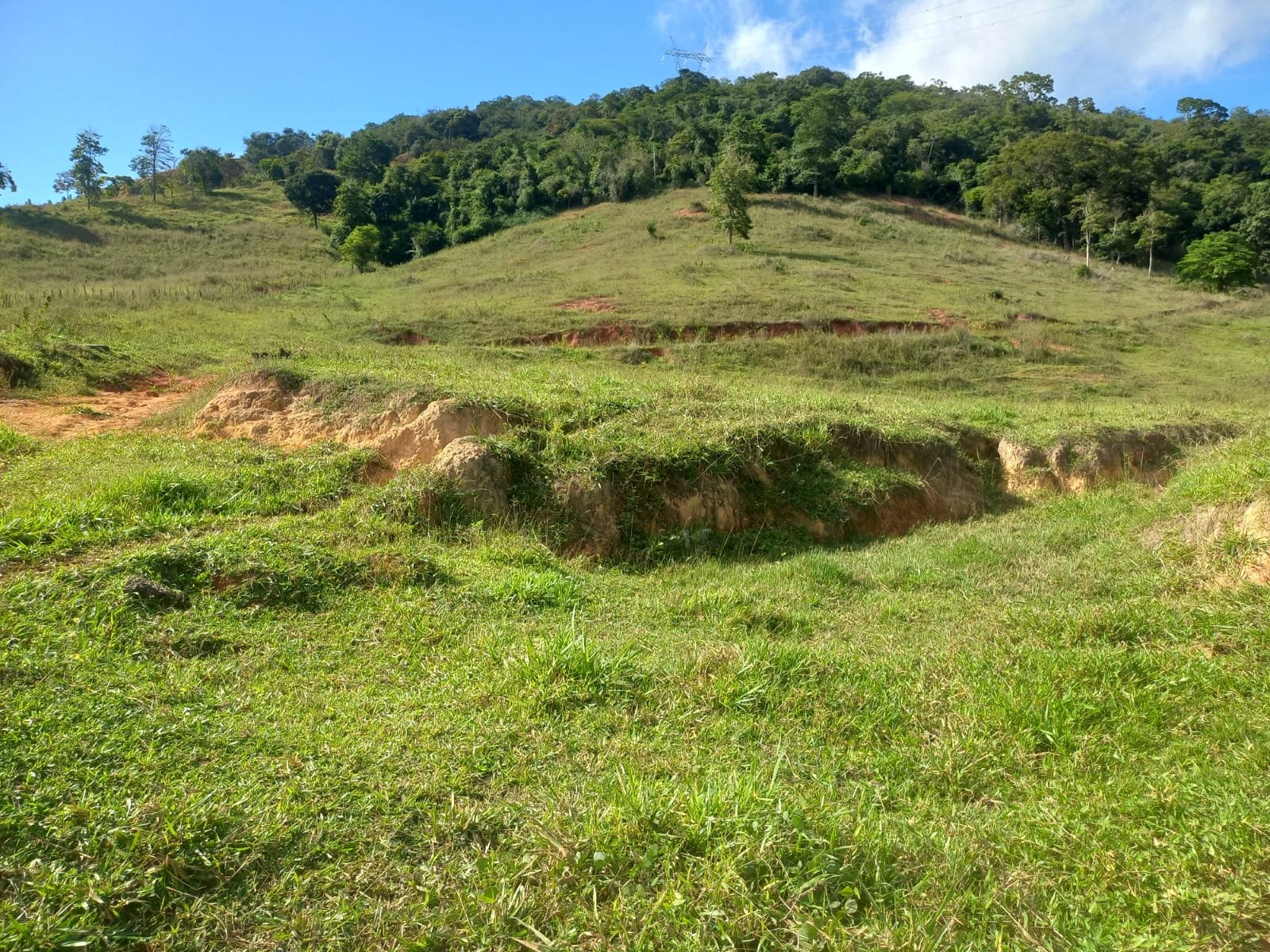 FAZENDA - FOTO 19