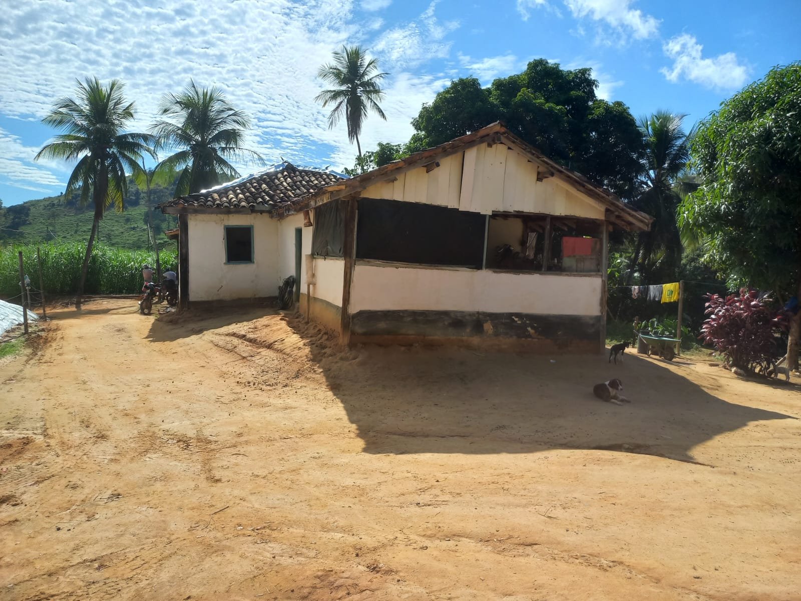 FAZENDA - FOTO 2
