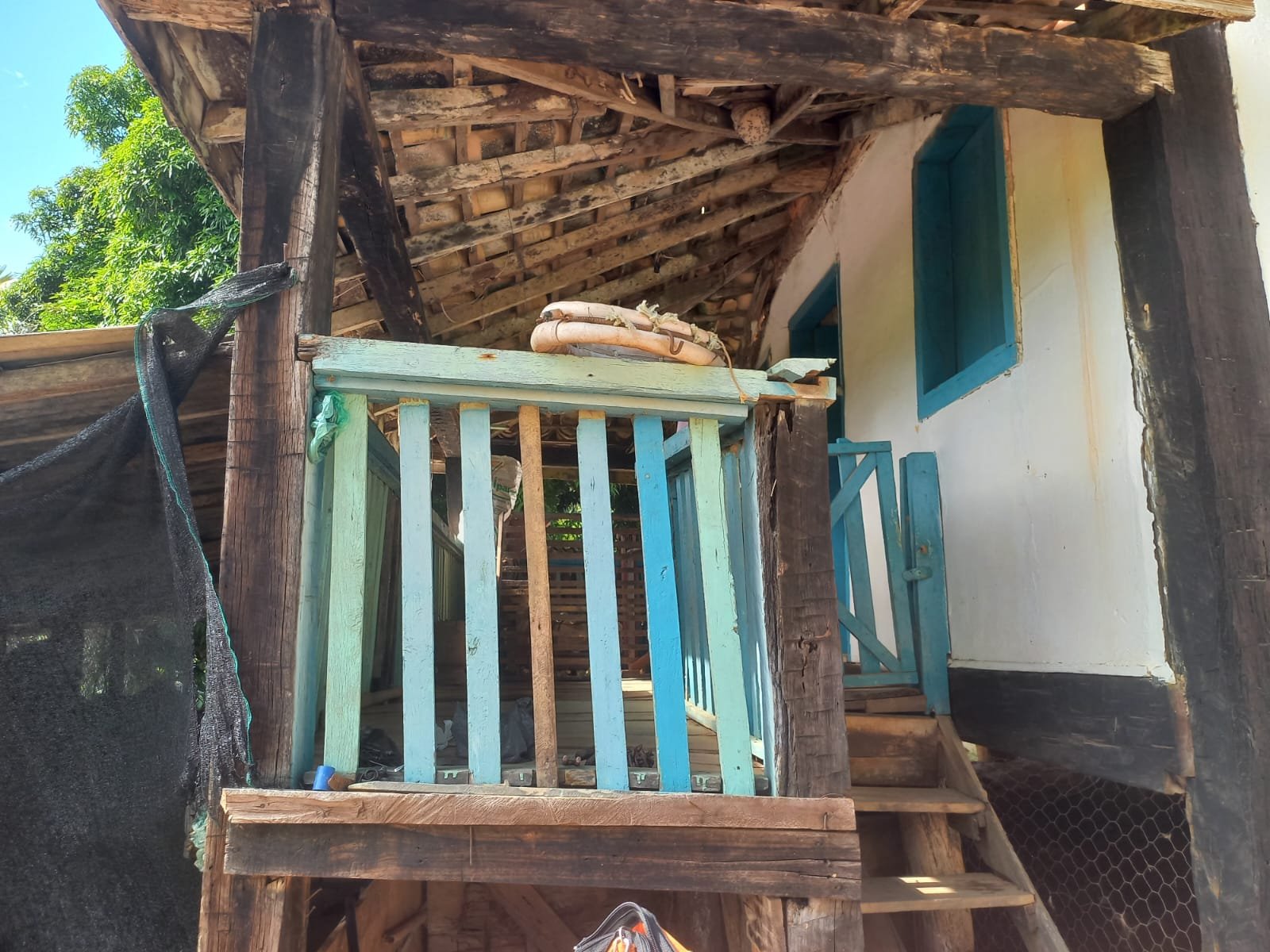 FAZENDA - FOTO 7